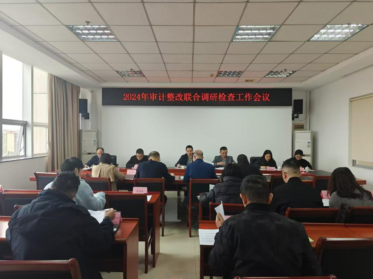 云城区开展2024年审计整改联合调研检查.png