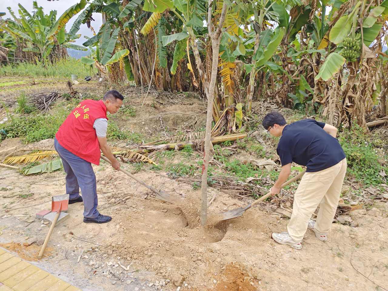 2026年第3期 云城区审计局开展推进绿美云浮生态建设义务植树活动.docx_2