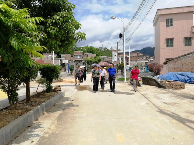 区人大常委会副主任龙裕文,区审计局局长董志标到思劳镇旧村村委会