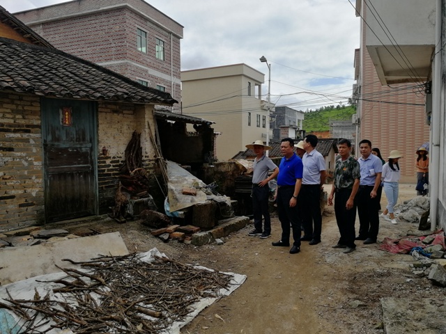 区人大常委会副主任龙裕文,区审计局局长董志标到思劳镇旧村村委会